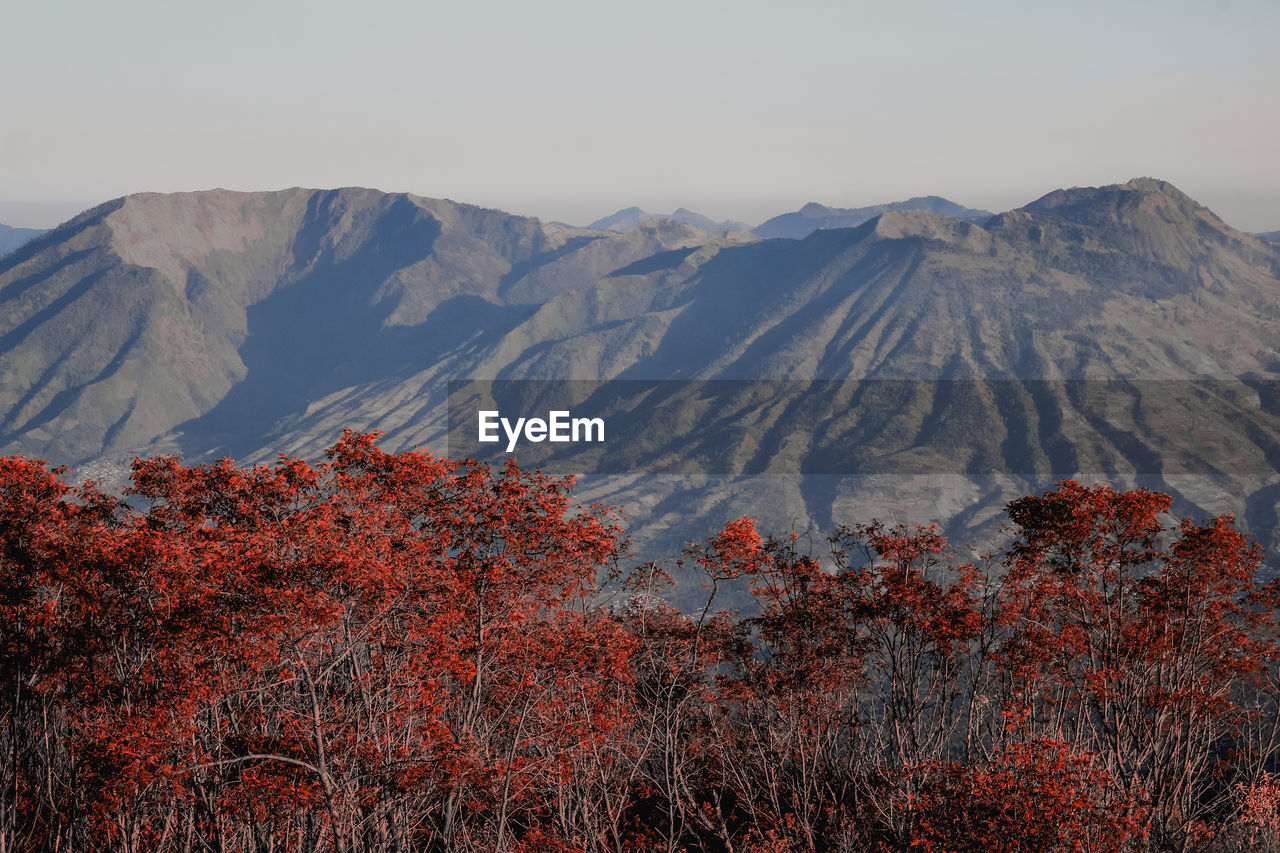 SCENIC VIEW OF MOUNTAIN AGAINST SKY