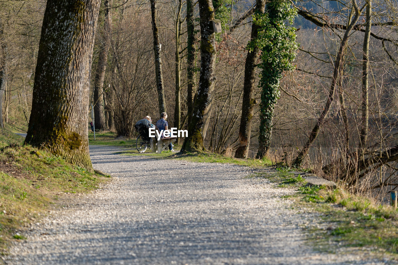 MAN RIDING BICYCLE BY ROAD IN FOREST