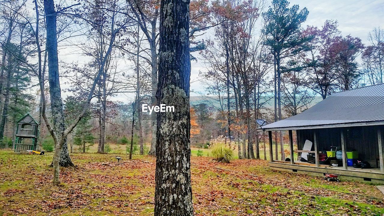 BARE TREES ON LANDSCAPE AGAINST SKY