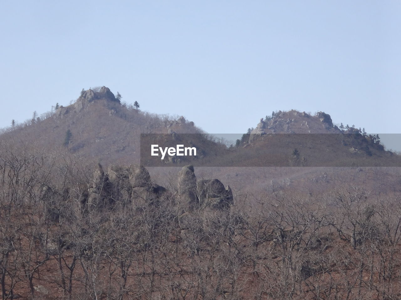 SCENIC VIEW OF LAND AGAINST CLEAR SKY