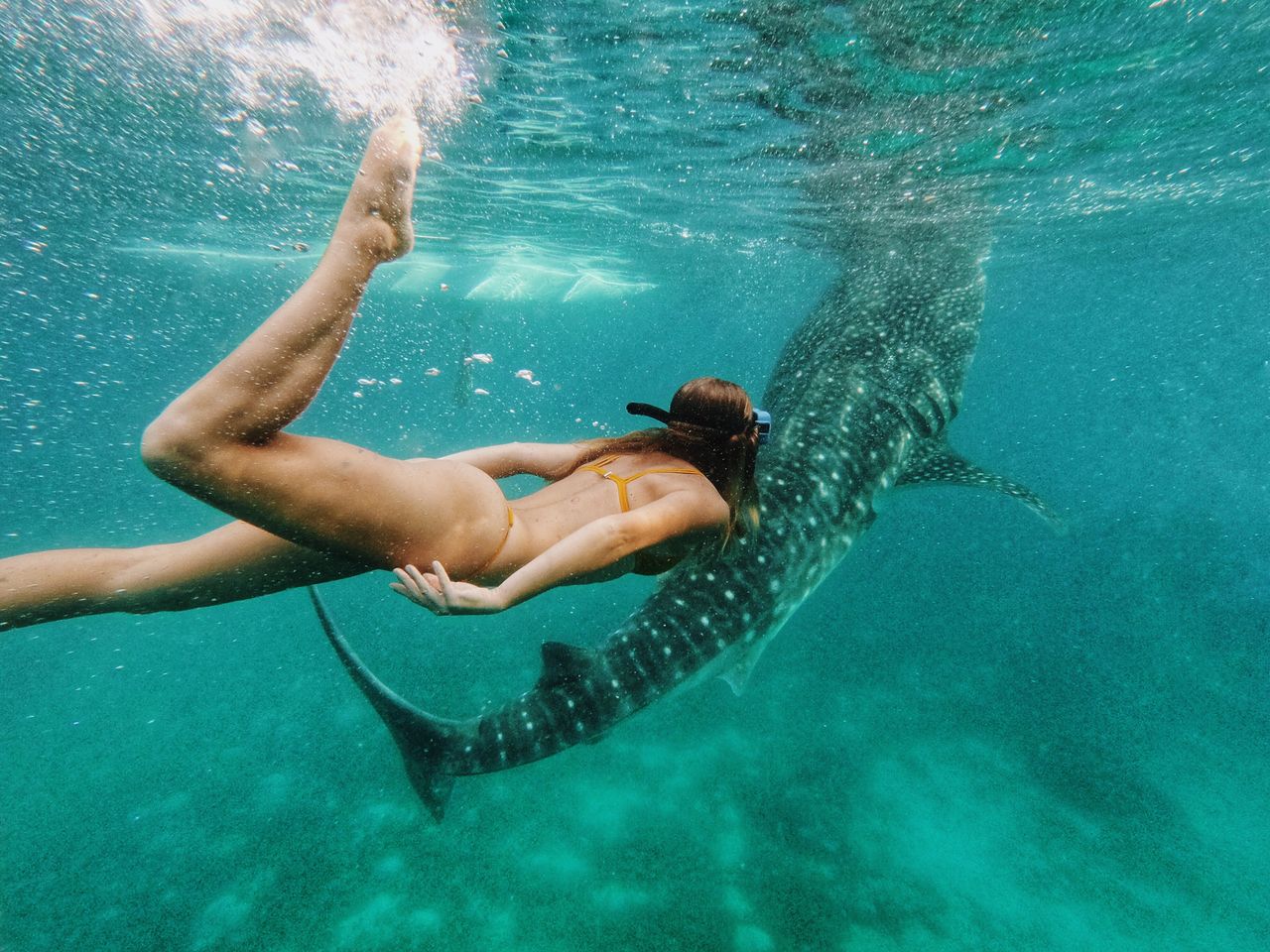 Woman swimming undersea