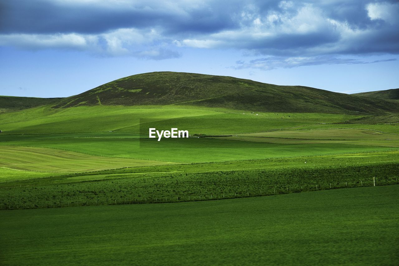 Scenic view of agricultural field against sky