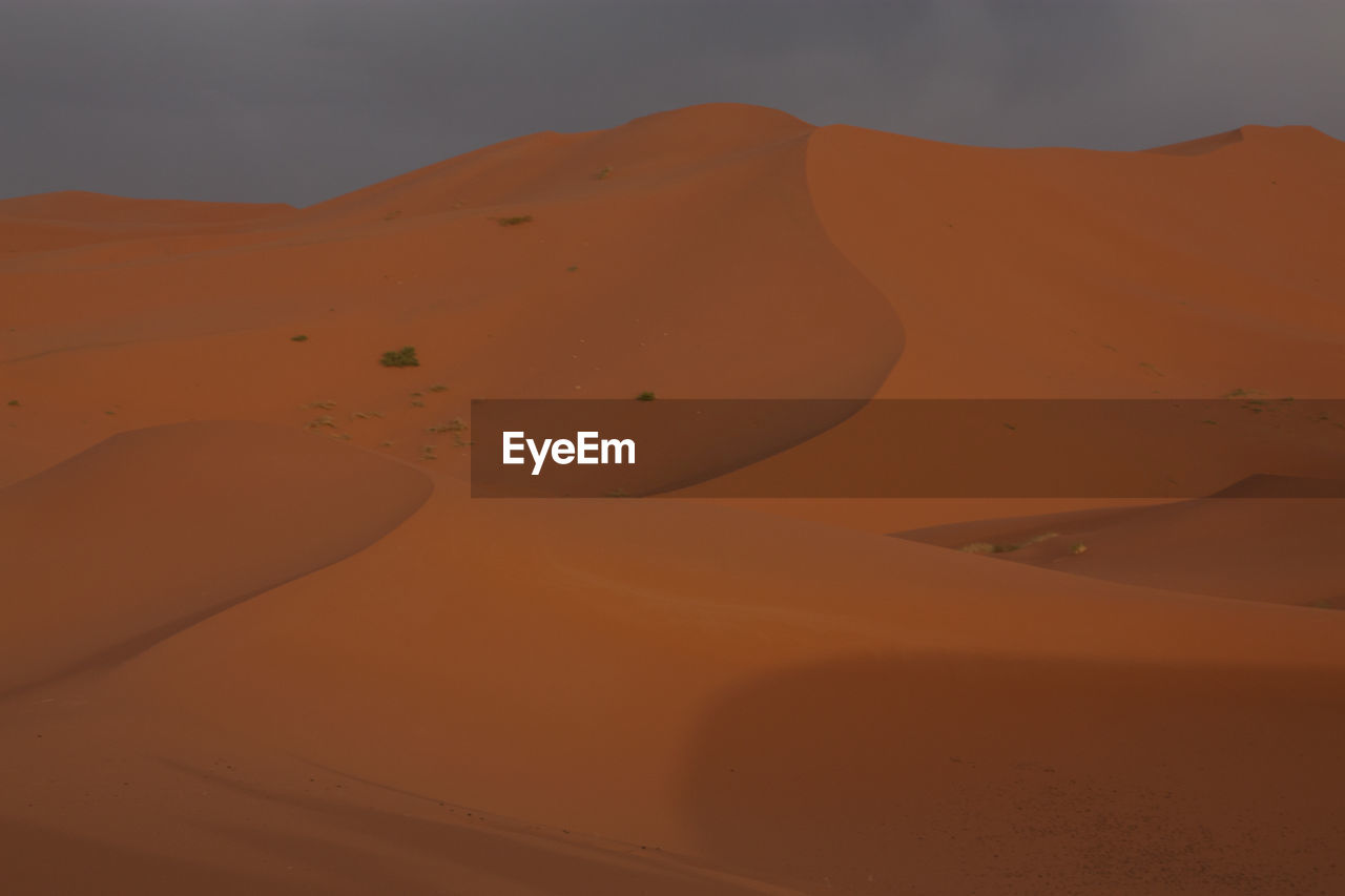 VIEW OF DESERT