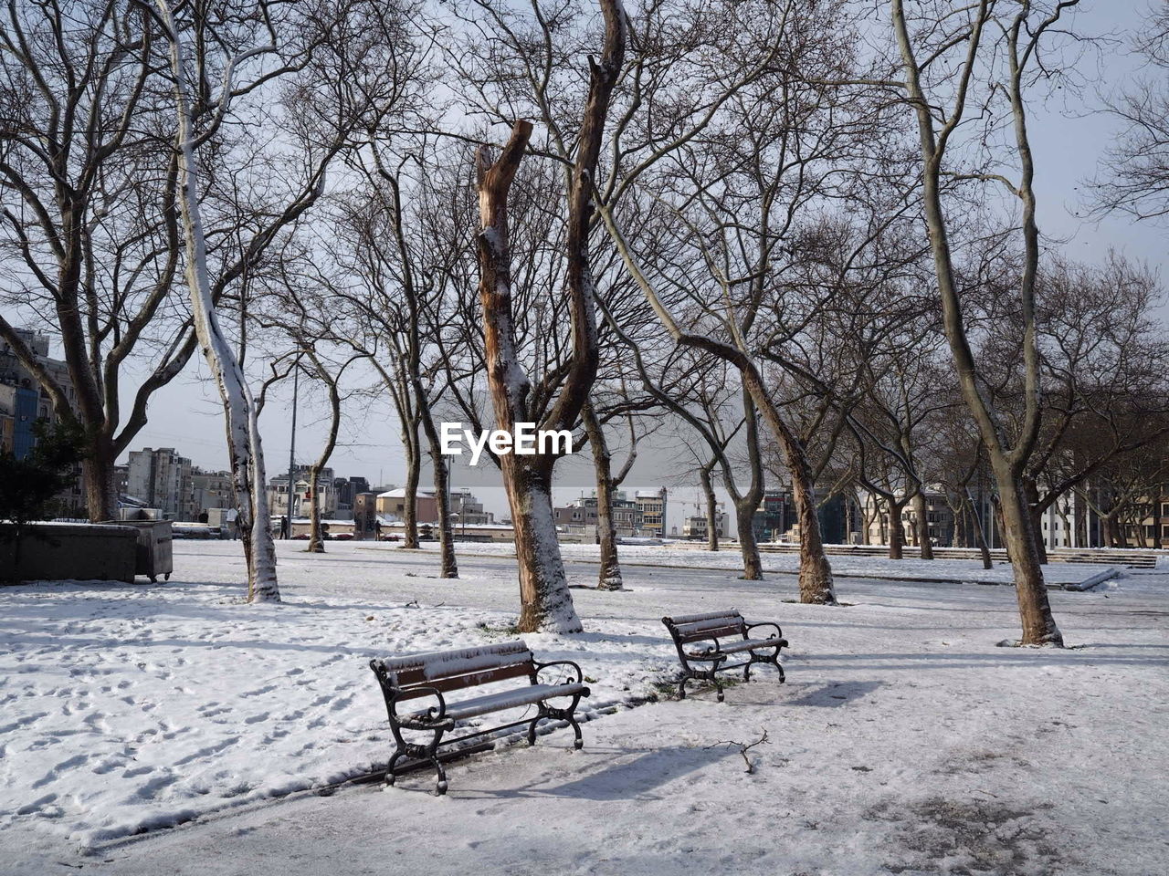 EMPTY BENCHES IN PARK