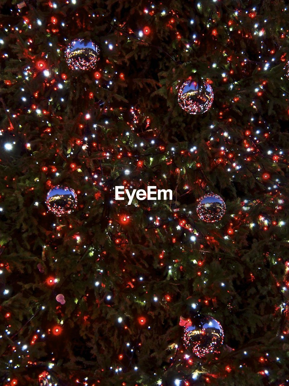 Full frame shot of illuminated christmas tree