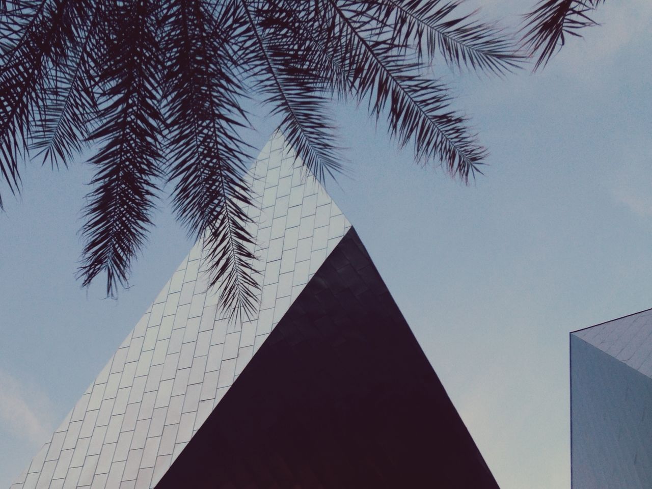 LOW ANGLE VIEW OF PALM TREES AGAINST SKY