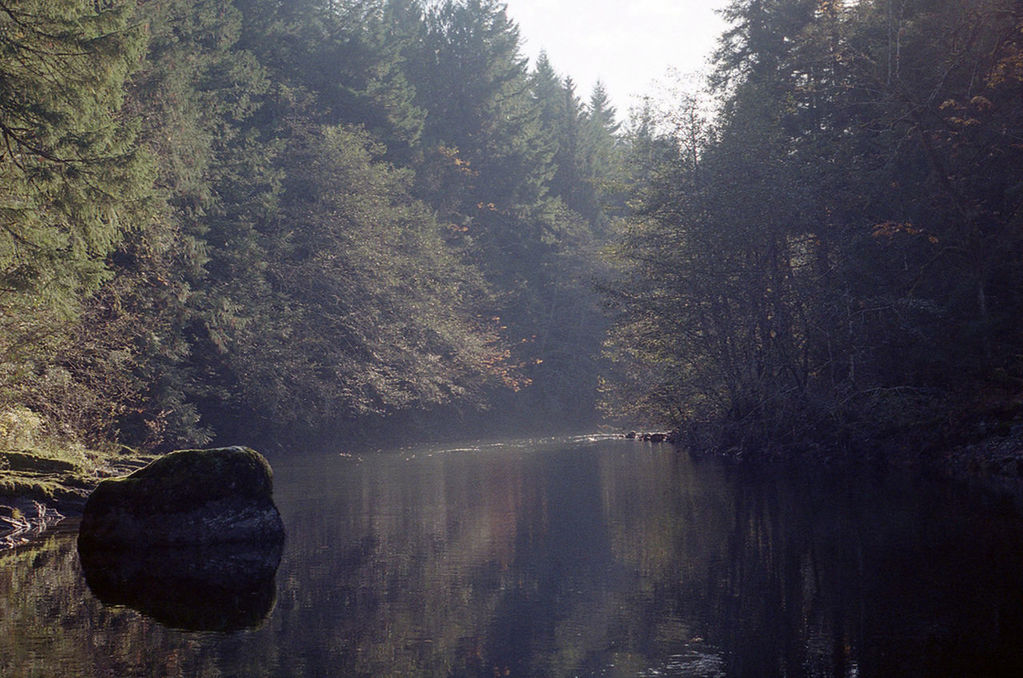 Scenic shot of calm lake along trees