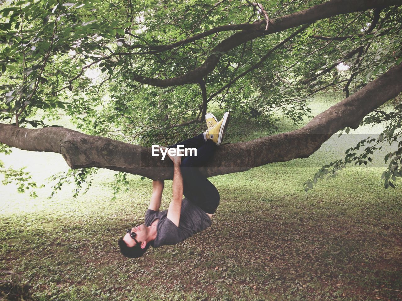 Man climbing tree