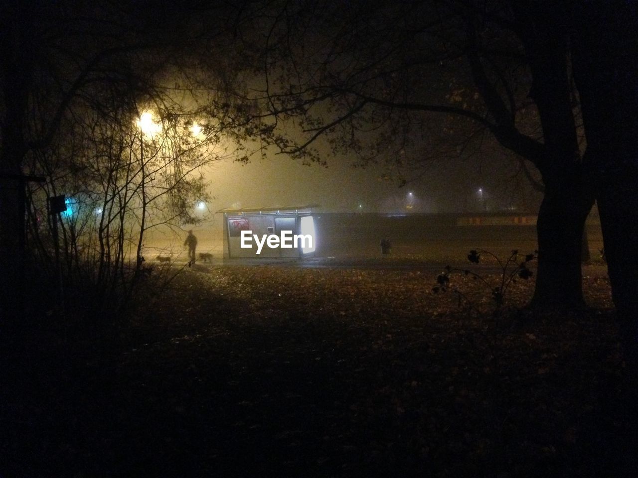 Illuminated bus stop at night