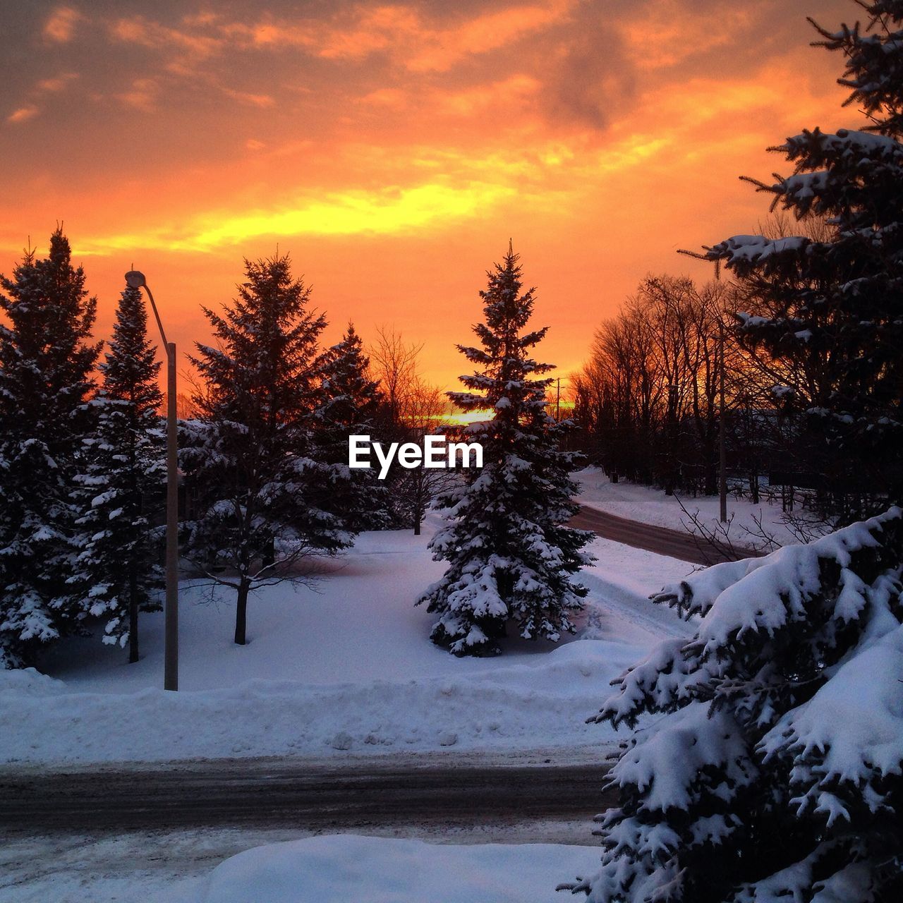 Scenic view of snow covered field at sunset