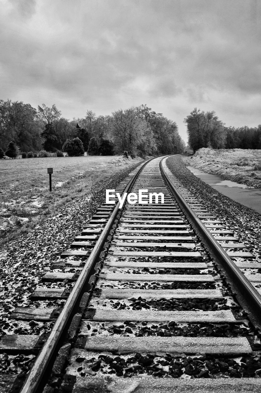 Surface level of railway tracks against trees