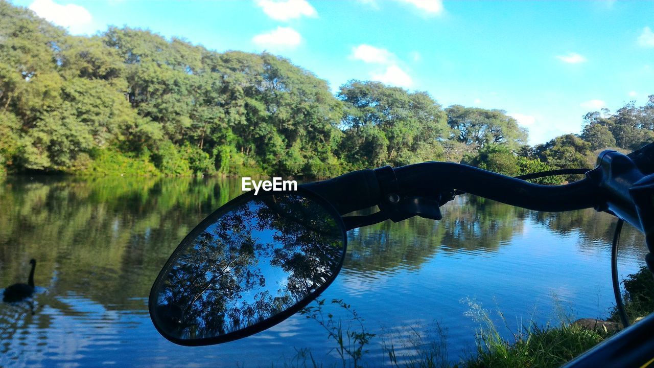 REFLECTION OF TREES IN WATER