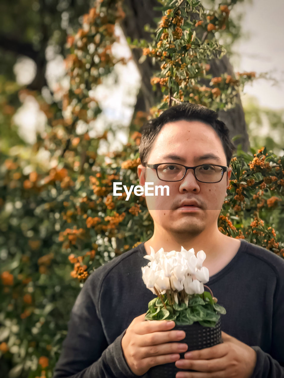 Portrait of young man holding potted white flowering cyclamen plant against orange rowanberry, tree