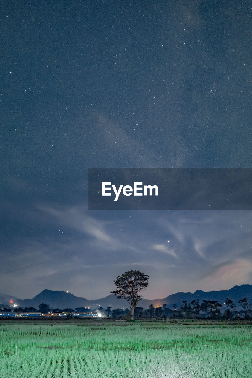 SCENIC VIEW OF FIELD AGAINST SKY DURING NIGHT