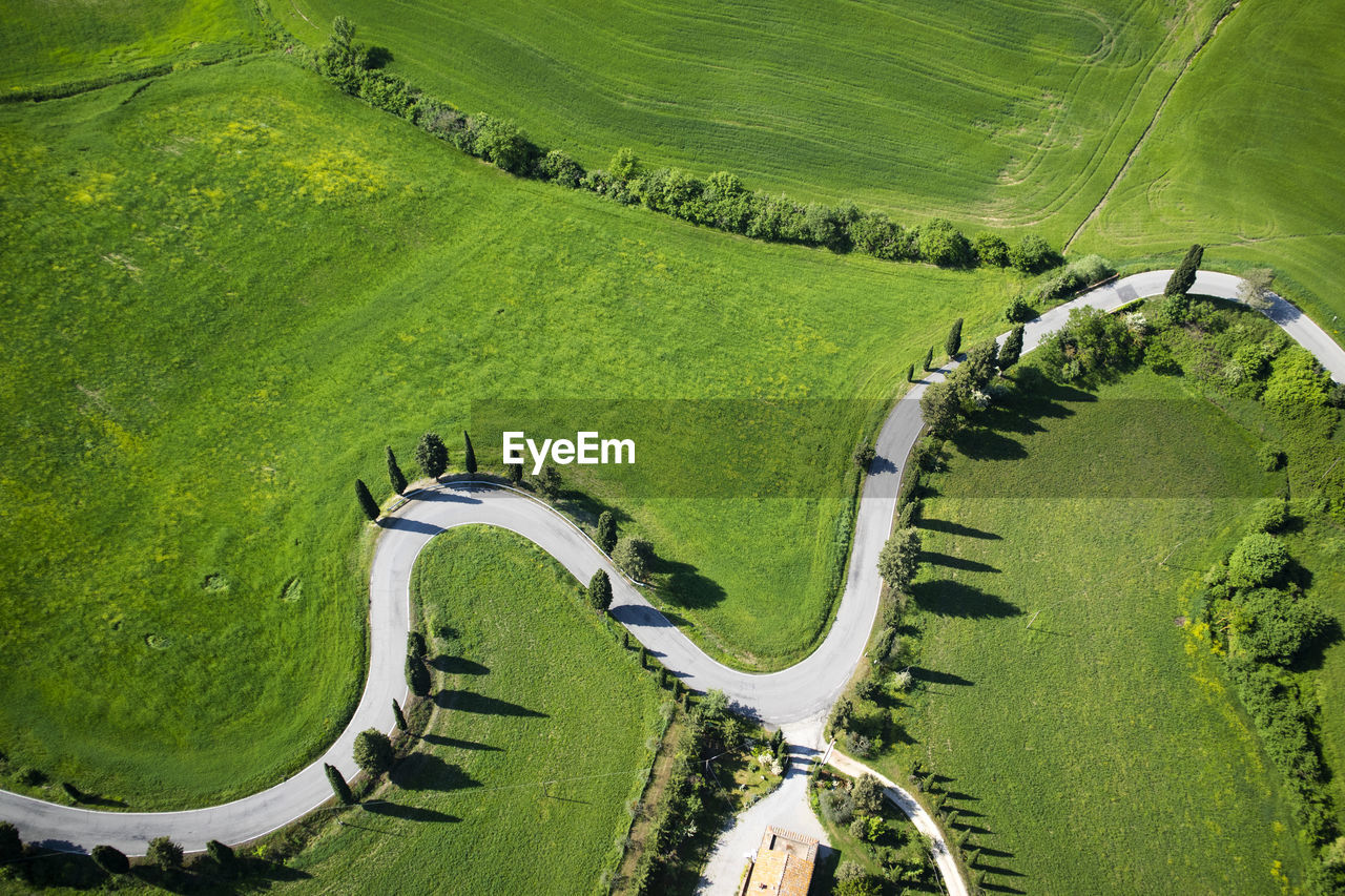 High angle view of agricultural field