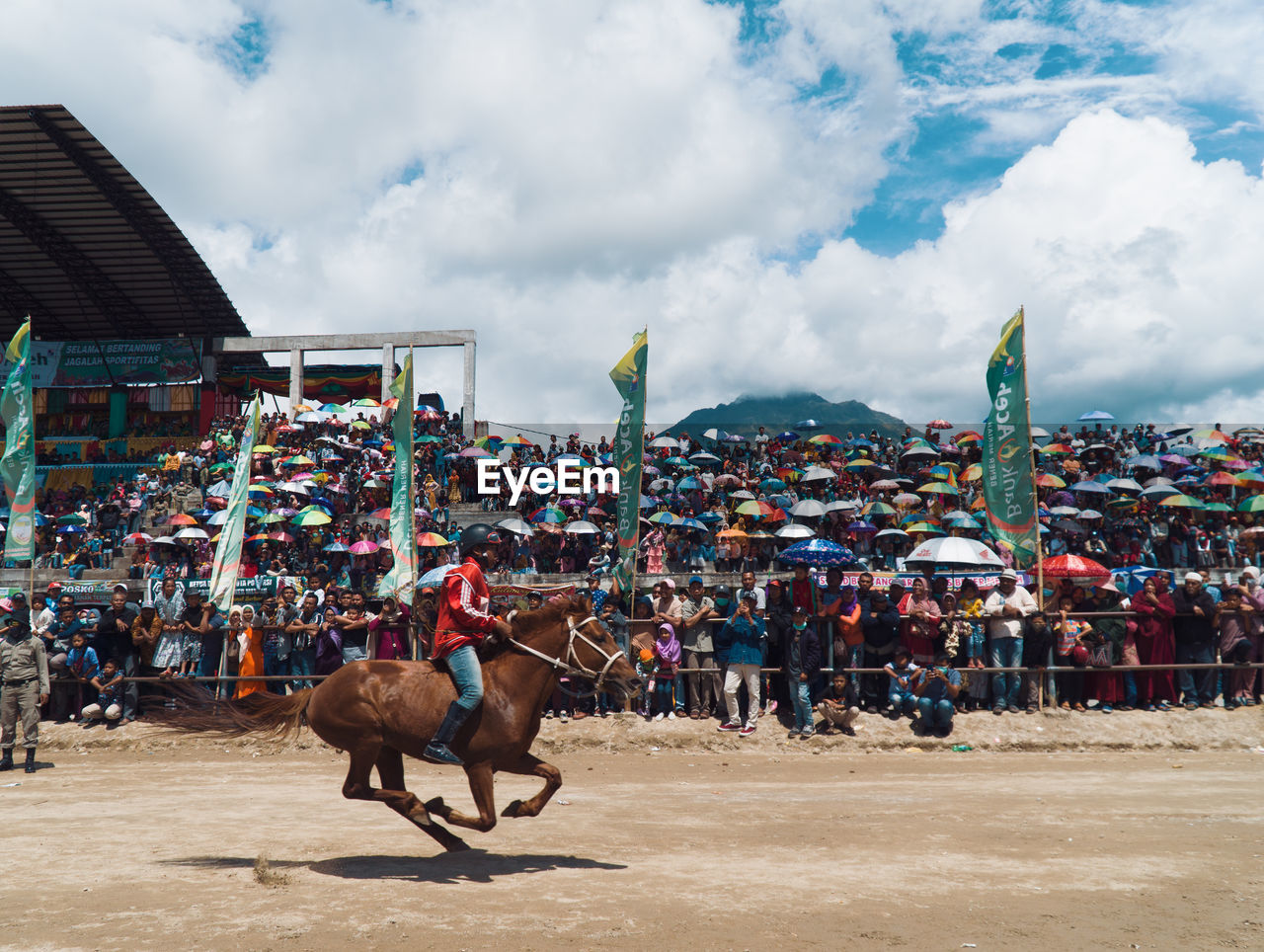 VIEW OF HORSES IN THE ANIMAL