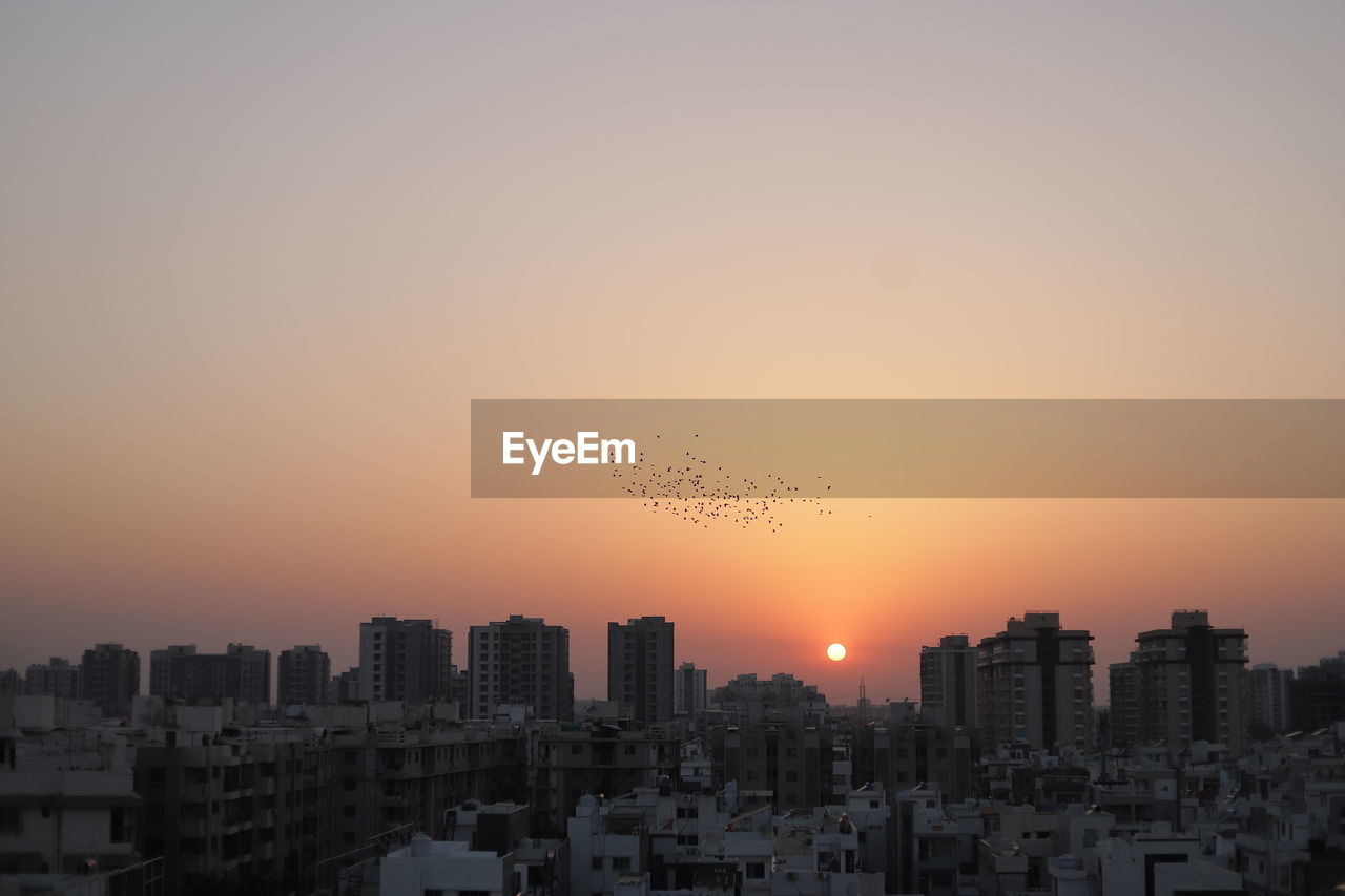 Birds flying over buildings against sky during sunset