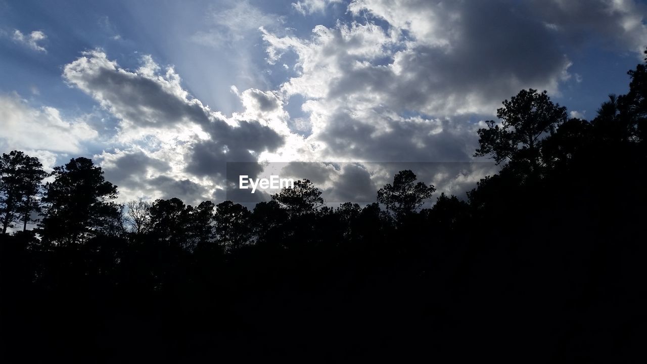 SCENIC VIEW OF SILHOUETTE TREES AGAINST SKY