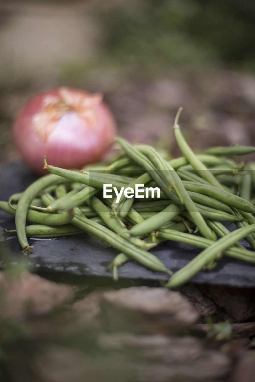 Close-up of vegetables