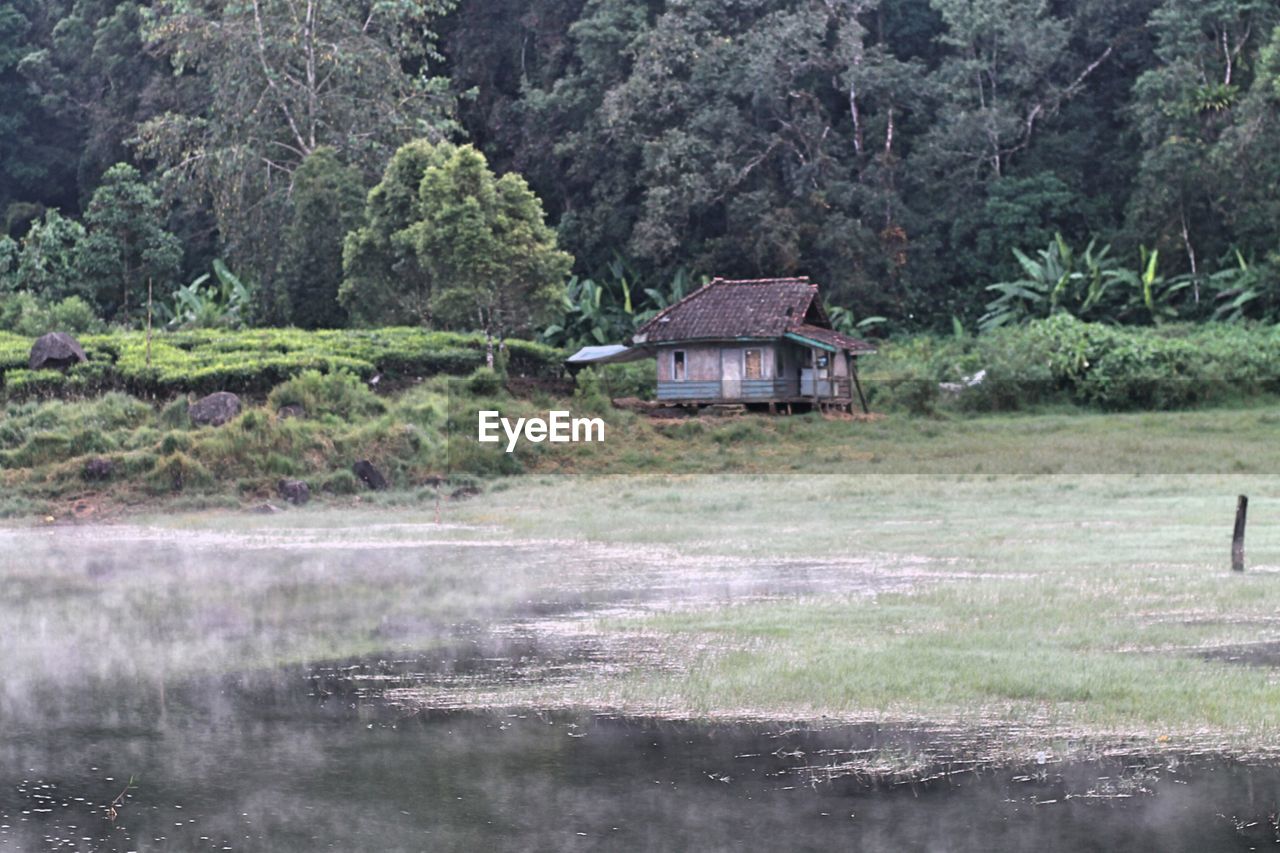 HOUSE BY TREES ON FOREST