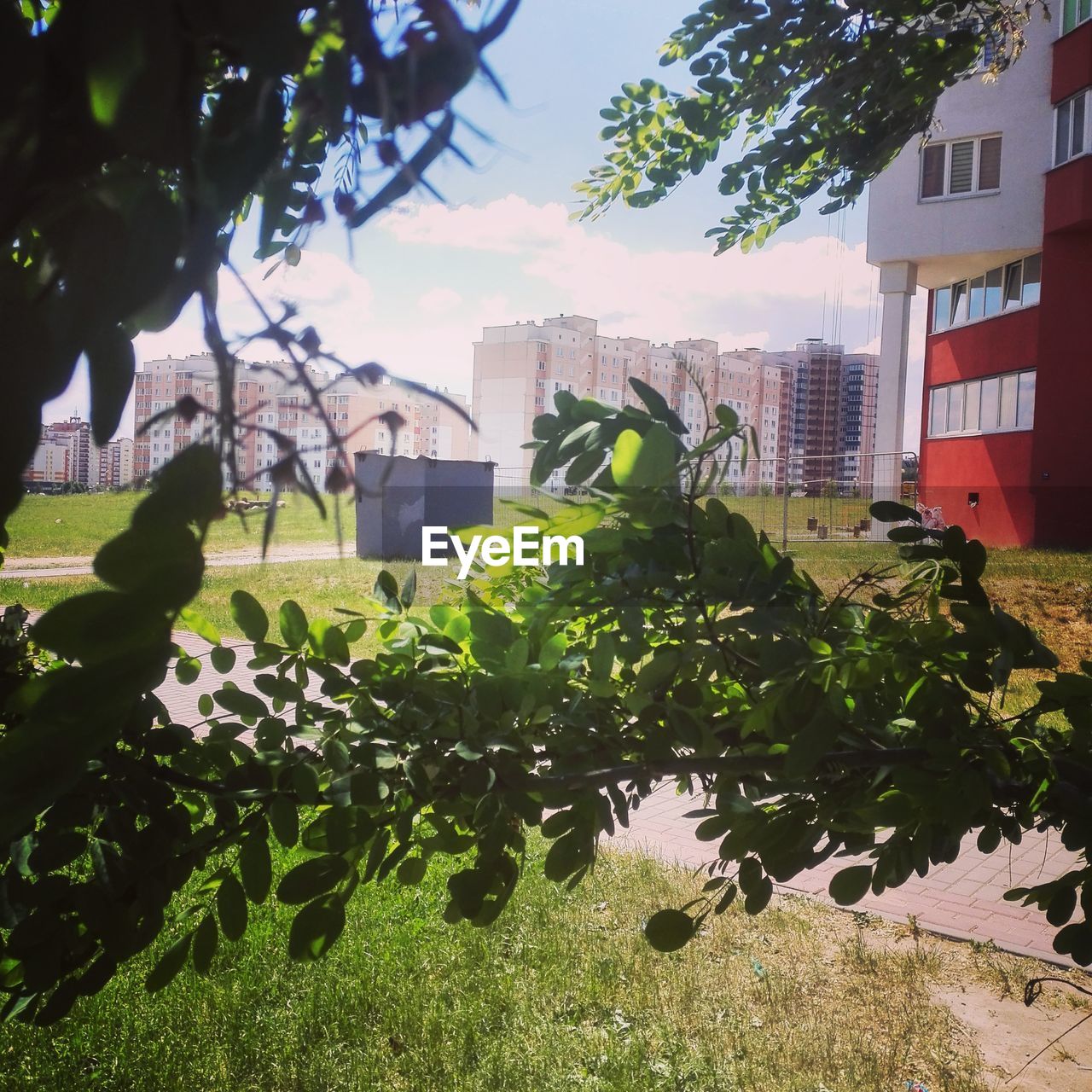 TREES AND PLANTS GROWING BY BUILDING IN CITY