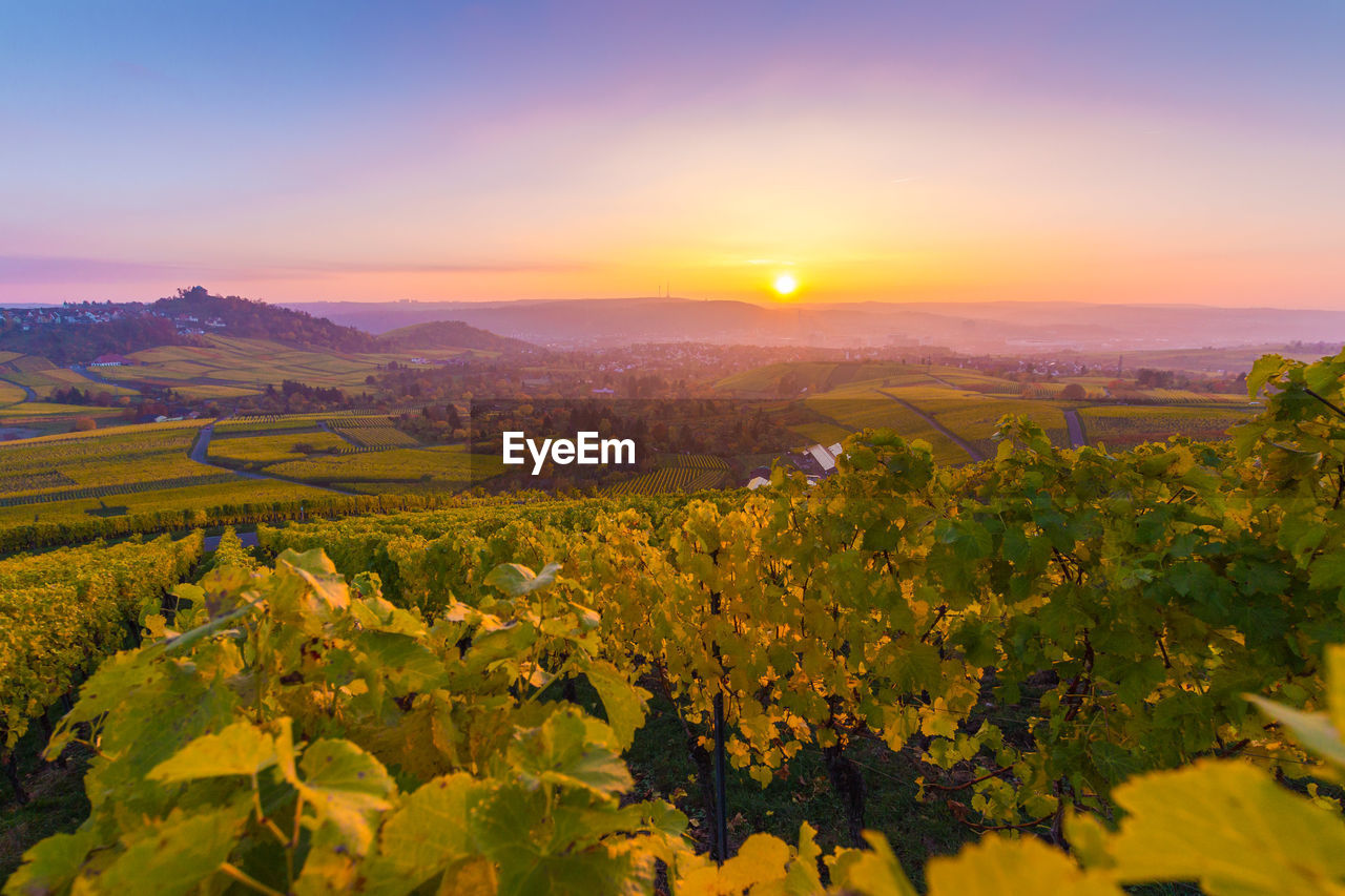 Scenic view of landscape against sky during sunset