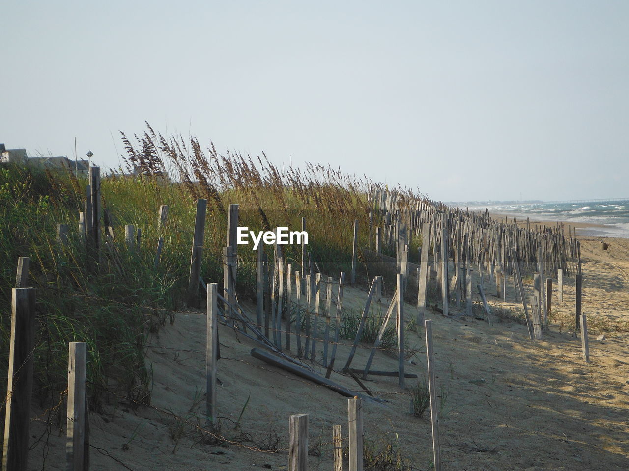 Wooden posts on beach against clear sky