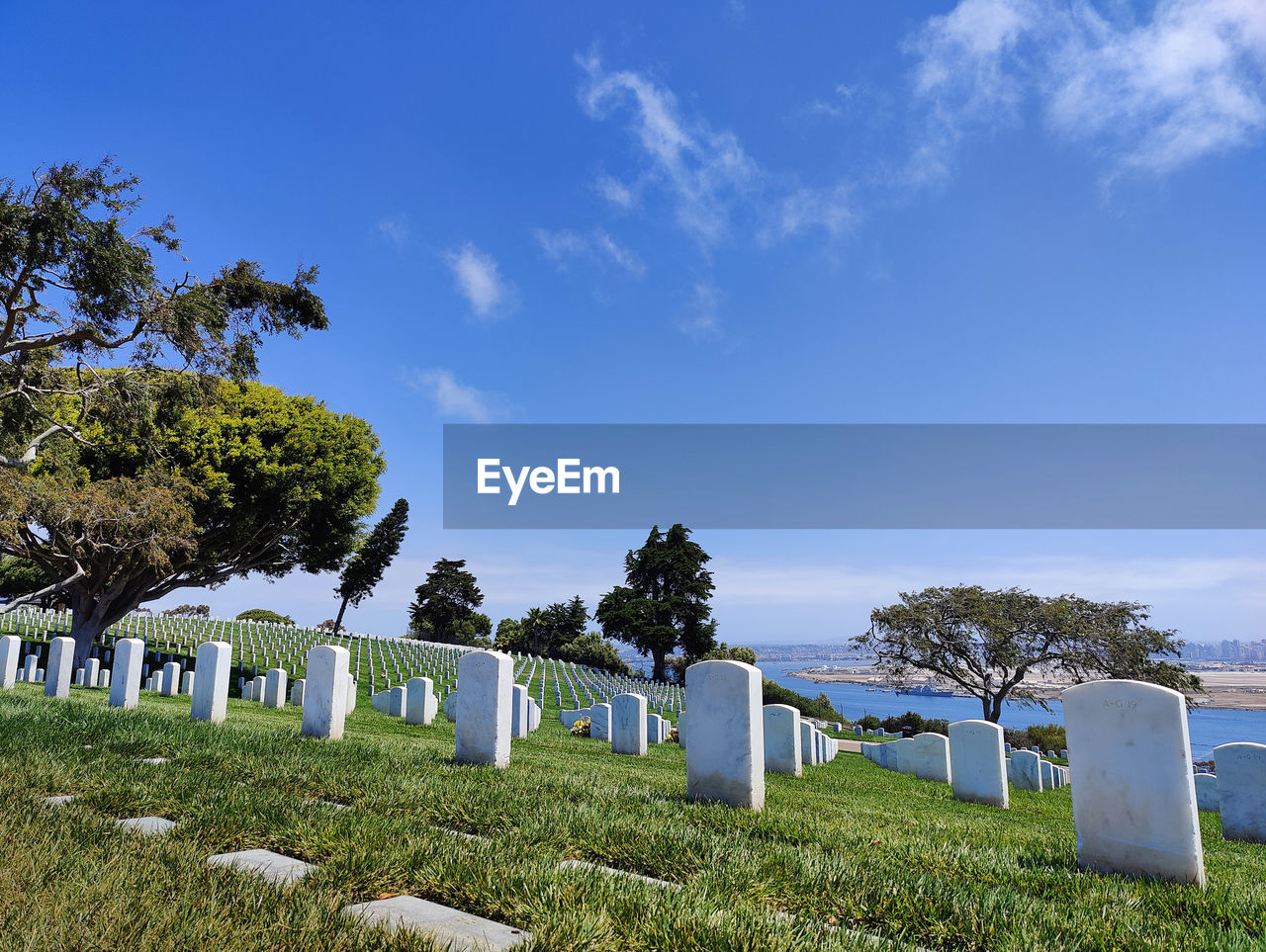 cemetery, grave, plant, sky, tombstone, nature, grass, cloud, tree, no people, stone, death, memorial, blue, land, in a row, sunlight, landscape, tranquility, environment, day, outdoors, religion, rural area, sadness, green, tranquil scene, field, scenics - nature, beauty in nature, architecture, travel destinations, travel