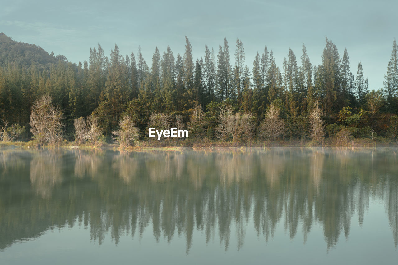 scenic view of lake