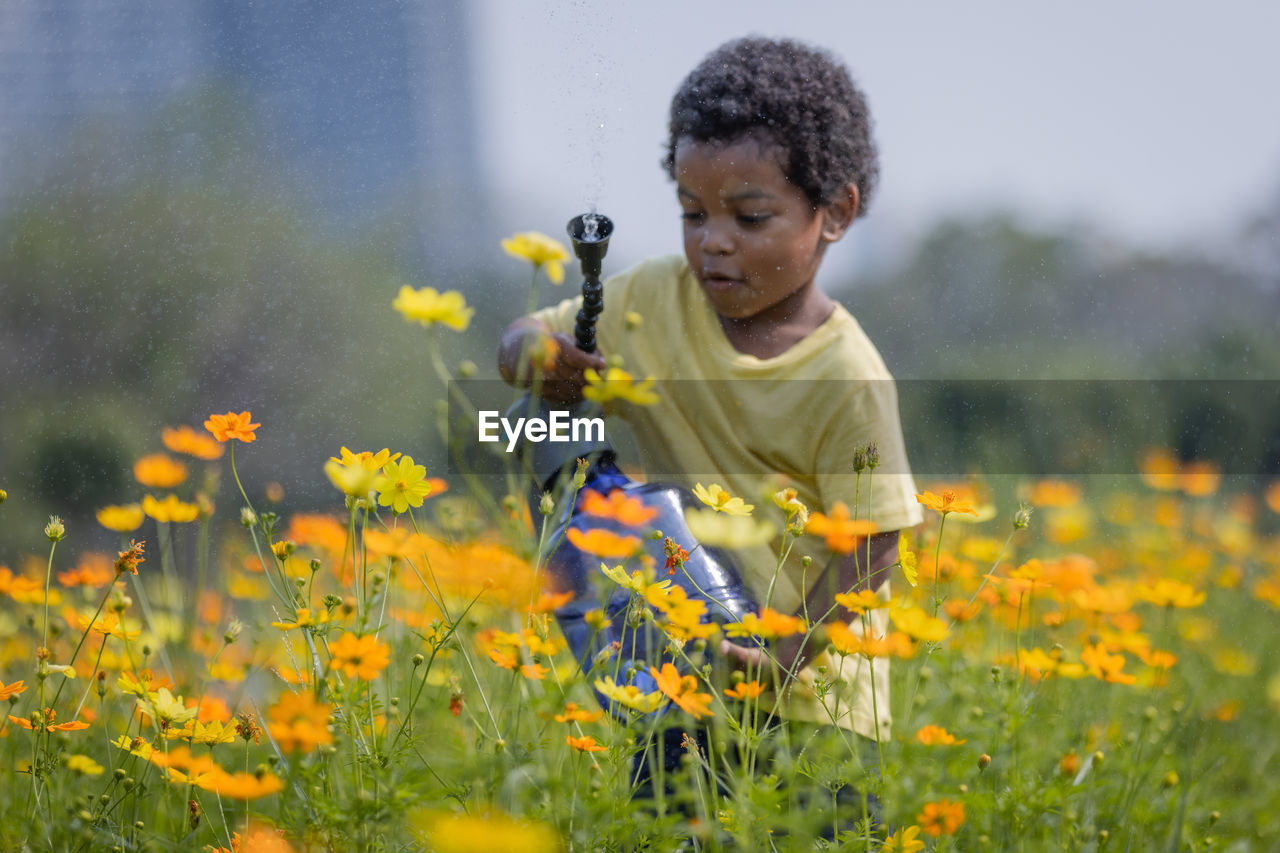 yellow, flower, flowering plant, plant, one person, field, nature, child, childhood, freshness, growth, meadow, beauty in nature, land, leisure activity, men, day, outdoors, lifestyles, prairie, fragility, looking, front view, dandelion, three quarter length, standing, selective focus, rural scene, casual clothing, landscape, wildflower, holding, flower head, rural area, agriculture, waist up, environment, grass, springtime, rapeseed, emotion