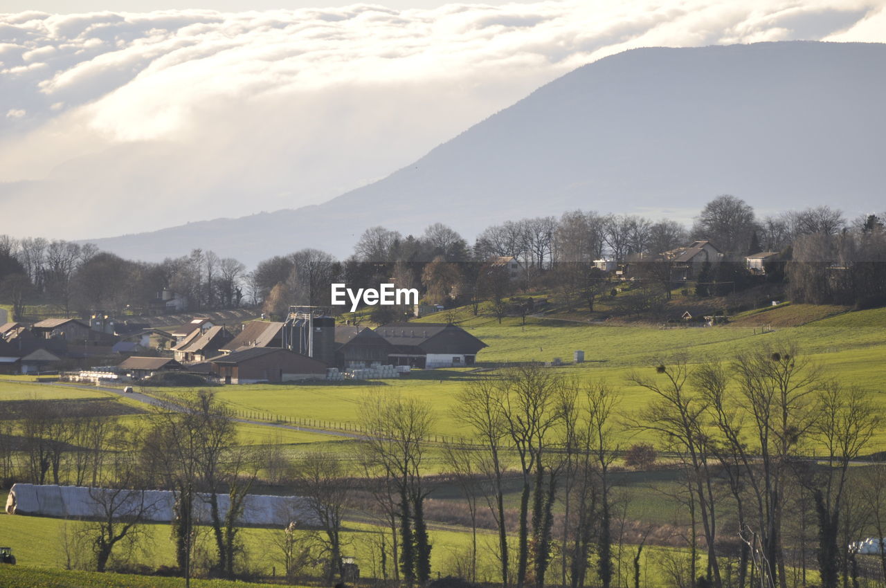 Scenic view of field by trees and houses against sky