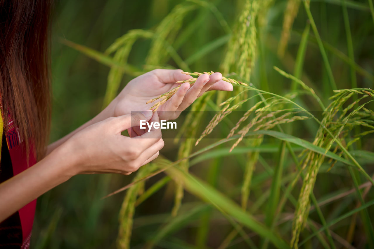 WOMAN HOLDING PLANT IN FIELD