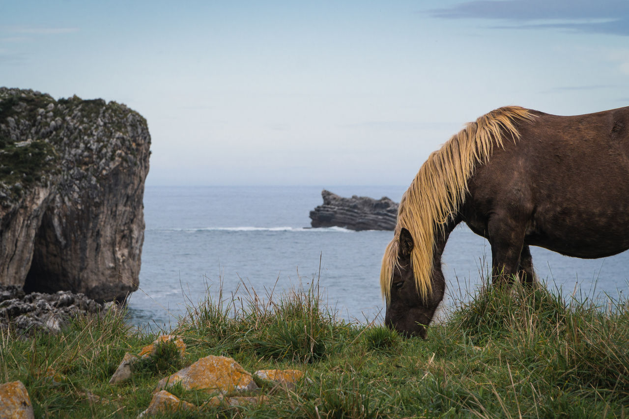 SCENIC VIEW OF SEA AND ROCKS