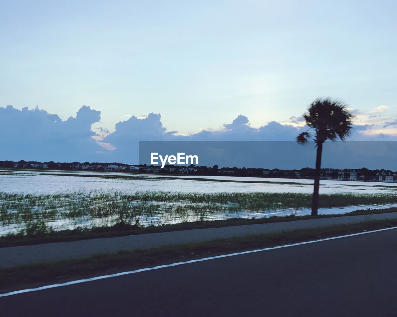 SILHOUETTE PALM TREES BY ROAD AGAINST SKY AT SUNSET