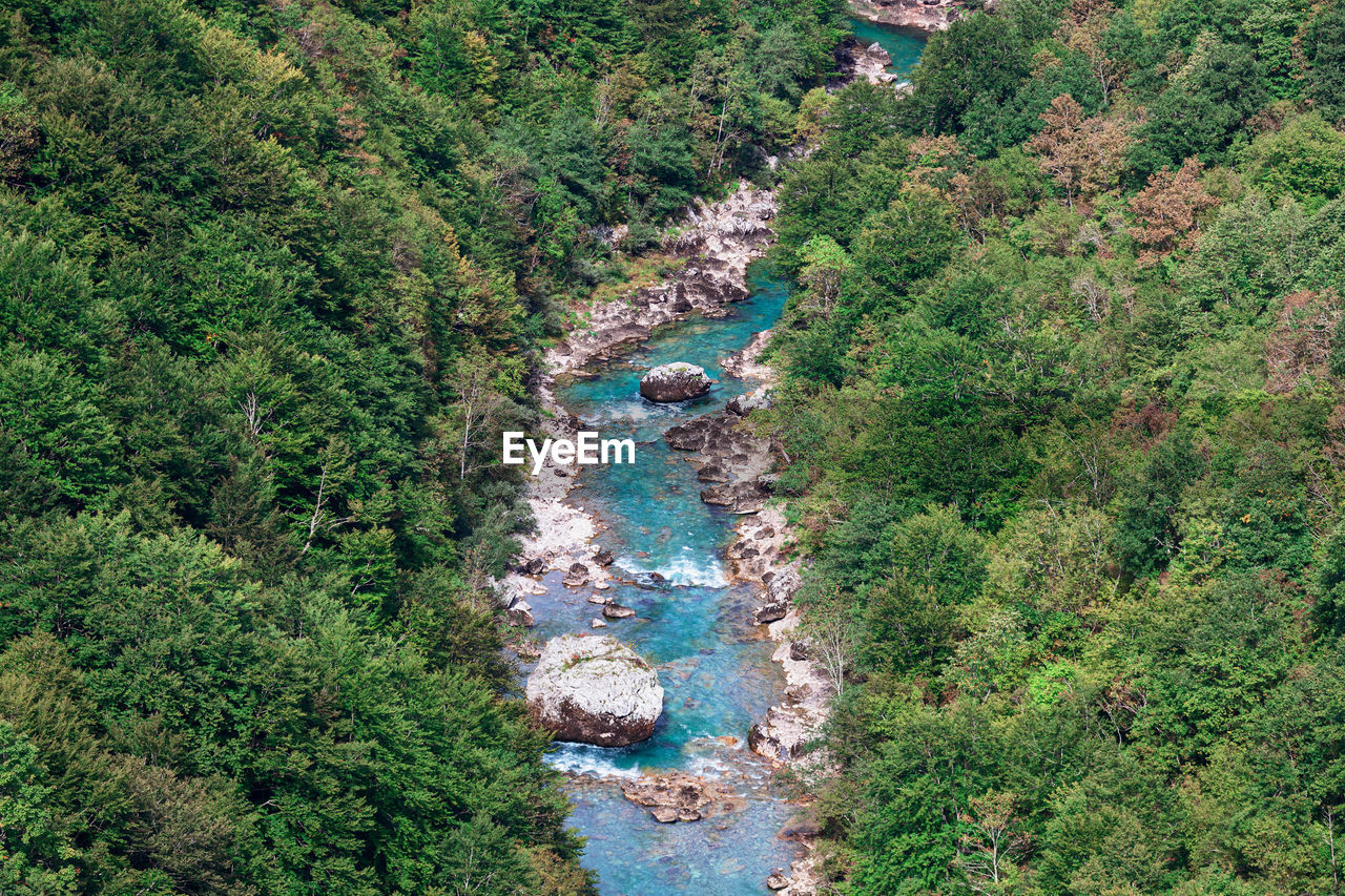 Rapid water view from above . mountain river and forest scenery