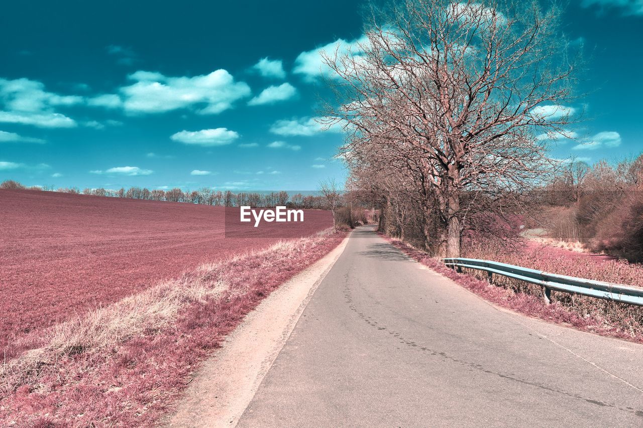 Empty road by trees against sky