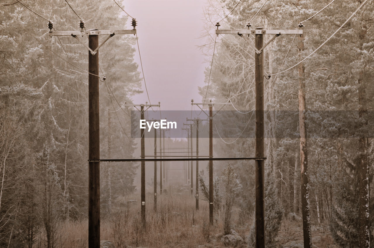 Scenic view of field by trees during winter