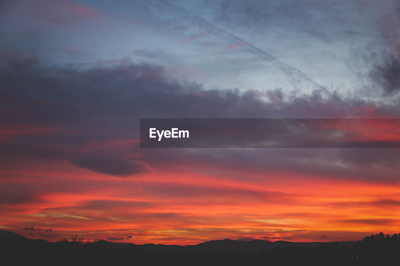 SCENIC VIEW OF DRAMATIC SKY OVER SILHOUETTE TREES