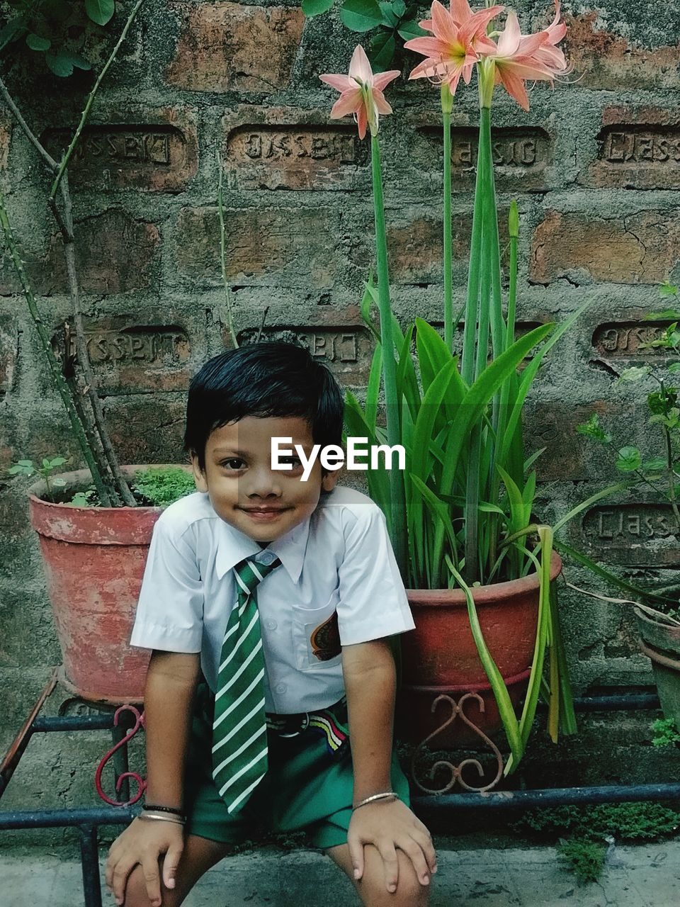 Portrait of cute boy wearing necktie sitting on railing by plant against wall