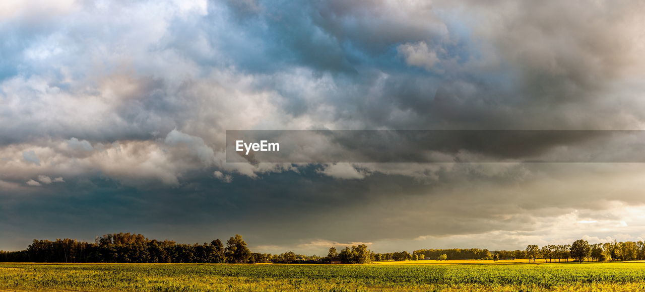 Scenic view of agricultural field against sky