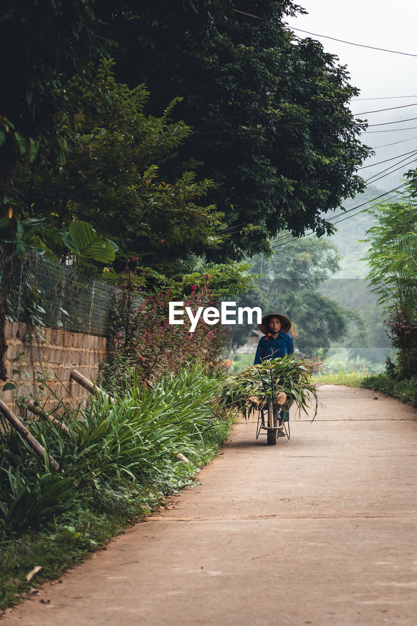 REAR VIEW OF MEN RIDING BICYCLE