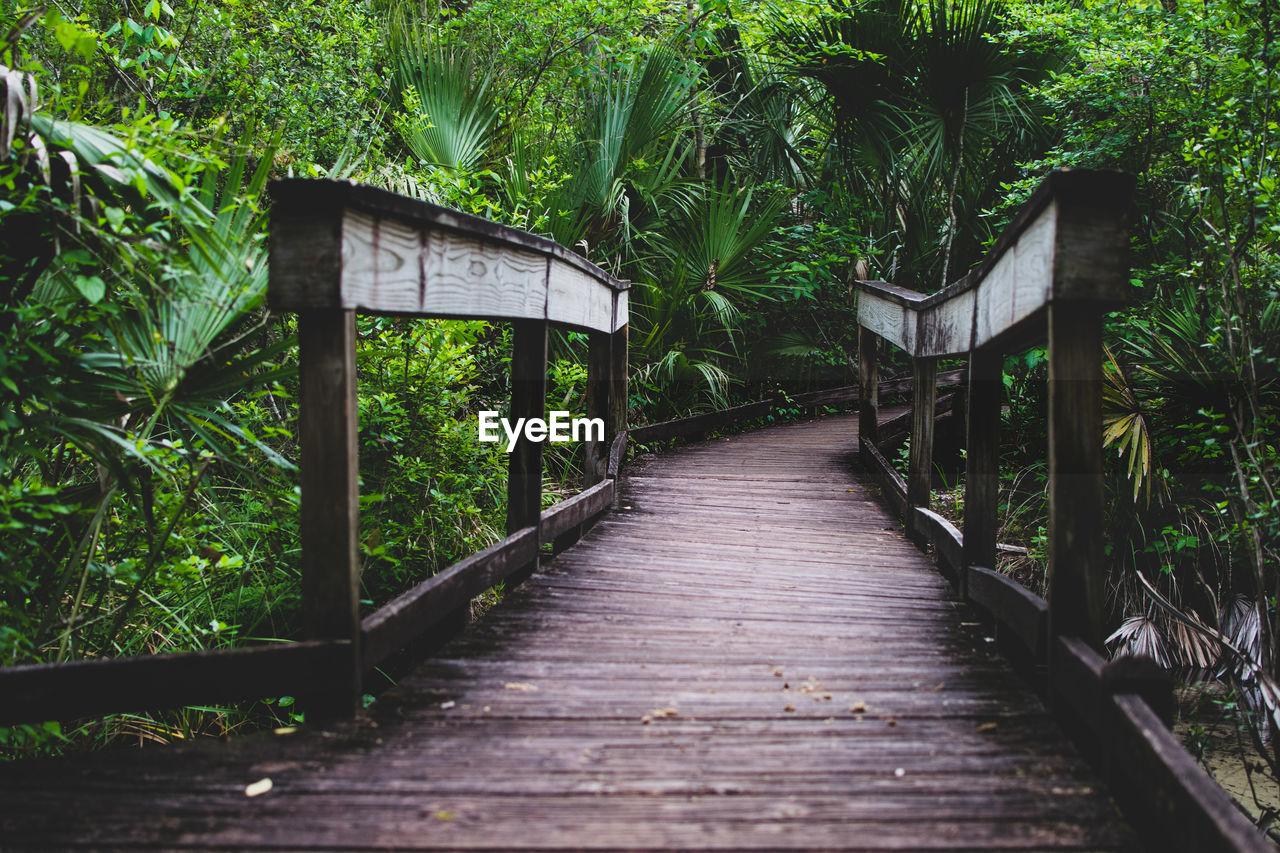 WOODEN FOOTBRIDGE AMIDST PLANTS IN FOREST