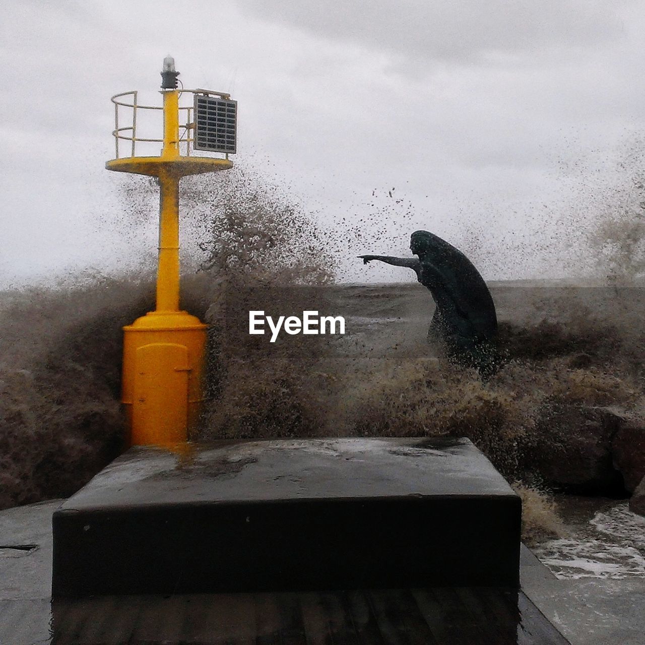 VIEW OF BIRD PERCHING ON SNOW