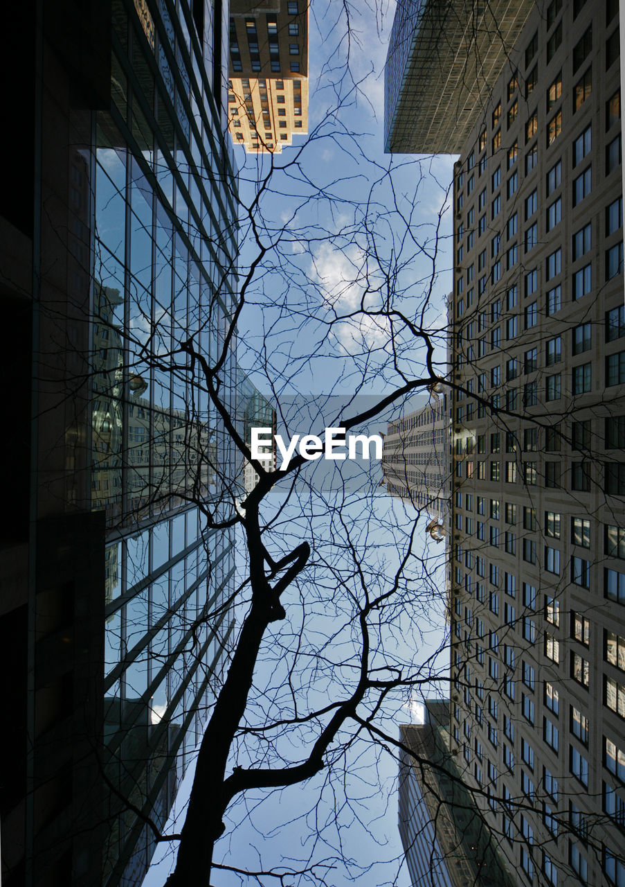 LOW ANGLE VIEW OF SKYSCRAPERS AGAINST SKY