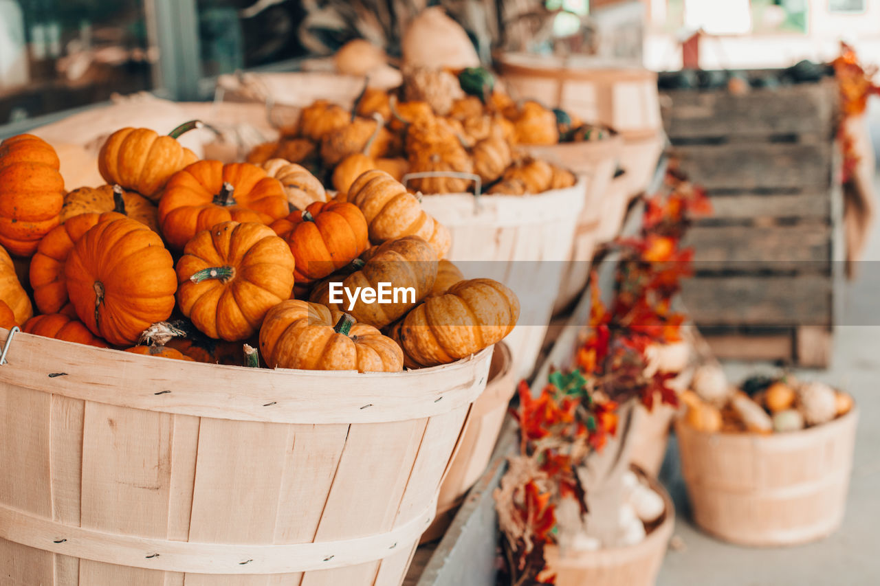 Close-up of pumpkins for sale at market stall