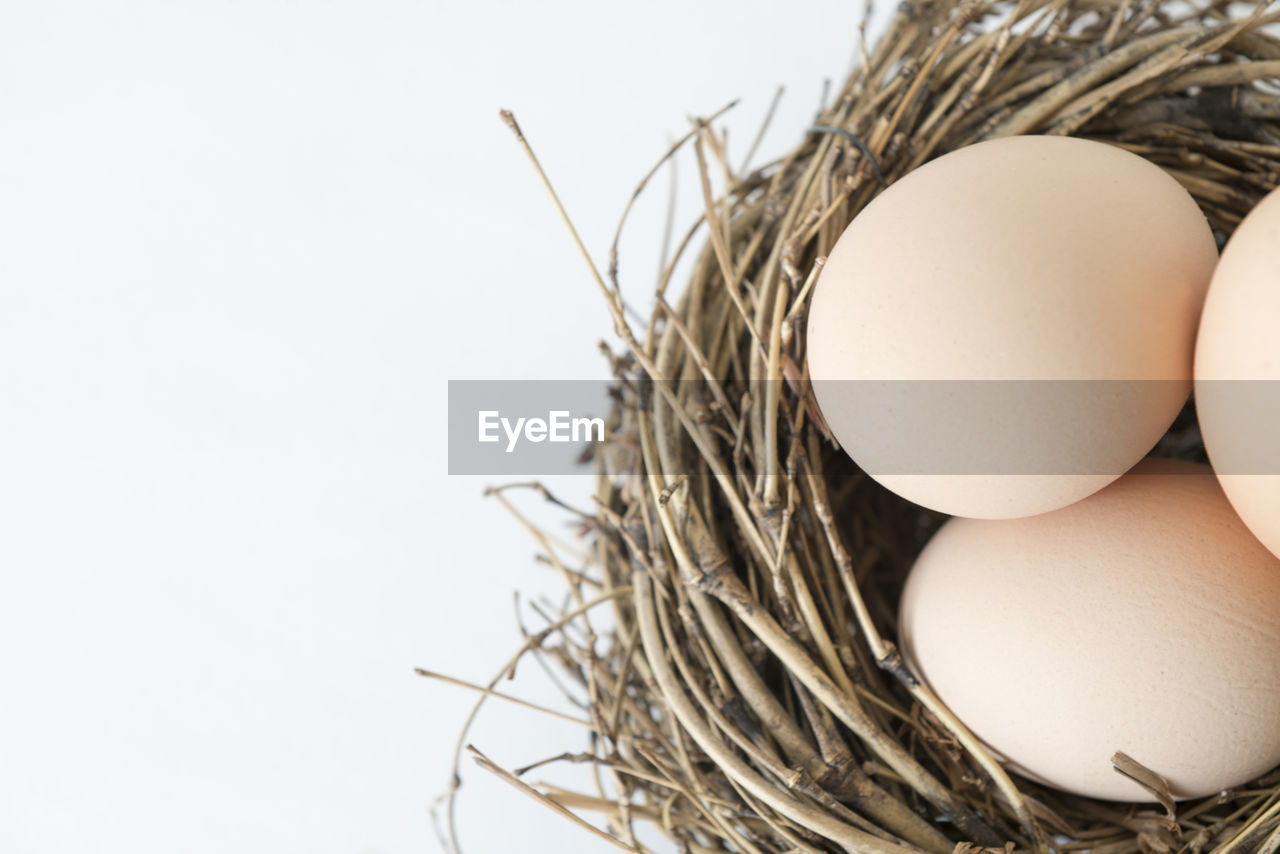 CLOSE-UP OF EGGS OVER WHITE BACKGROUND