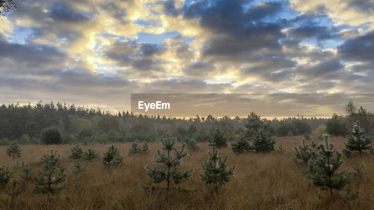 PANORAMIC VIEW OF LANDSCAPE AGAINST SKY