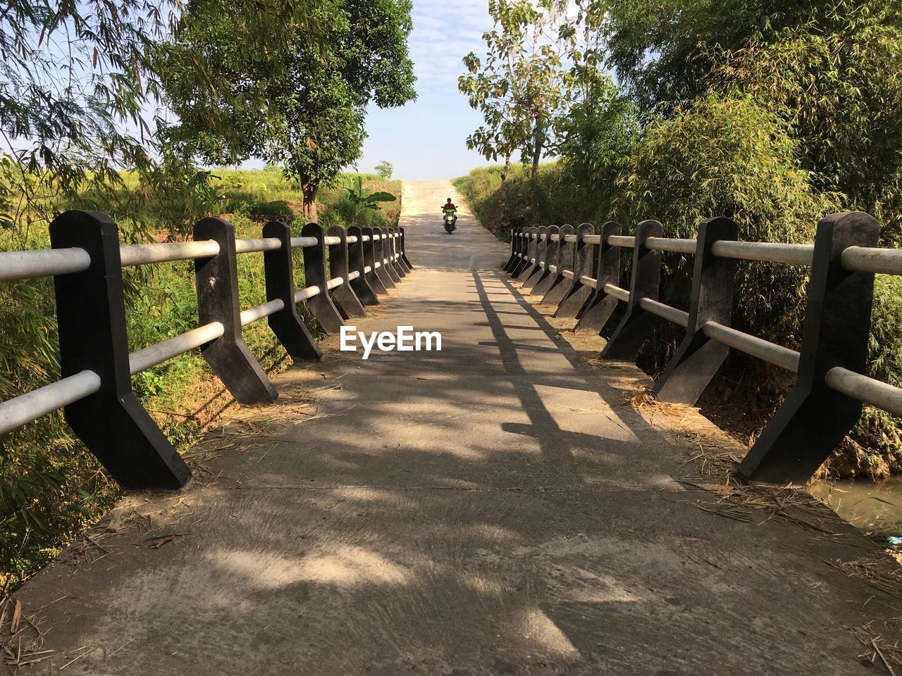 Empty footpath in park