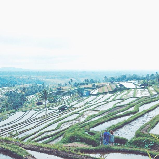 VIEW OF RURAL LANDSCAPE