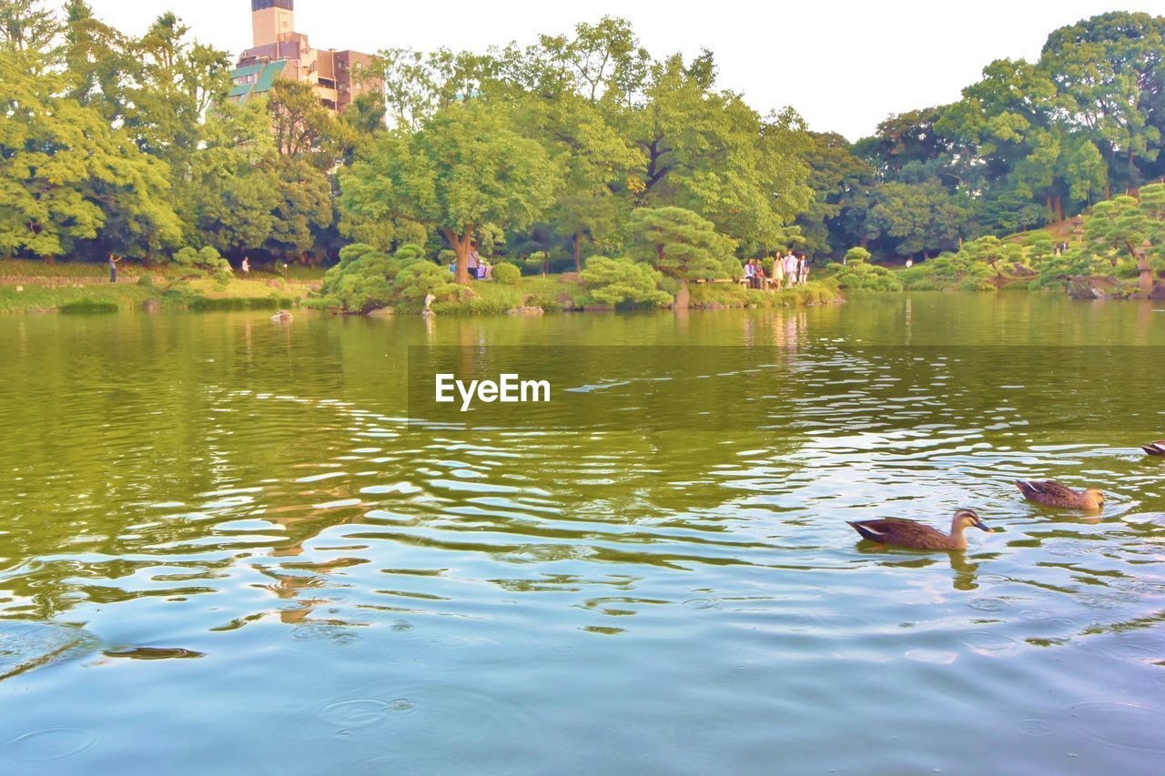 SCENIC VIEW OF LAKE